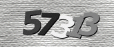 驗證碼